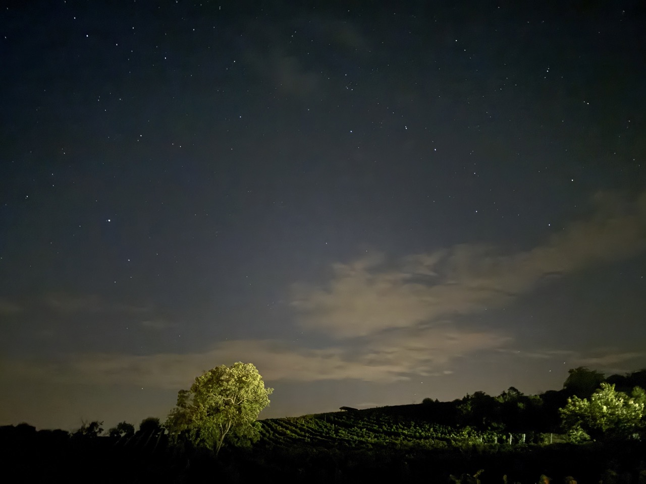 ARAWinery