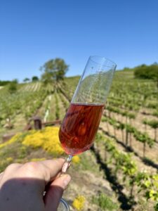 ARAWinery