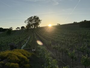 ARAWinery
