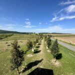 ARAWinery_Bukovanský mlýn_4