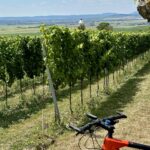 ARAWinery_Hradištěk_2