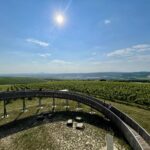 ARAWinery_Kobylí_2